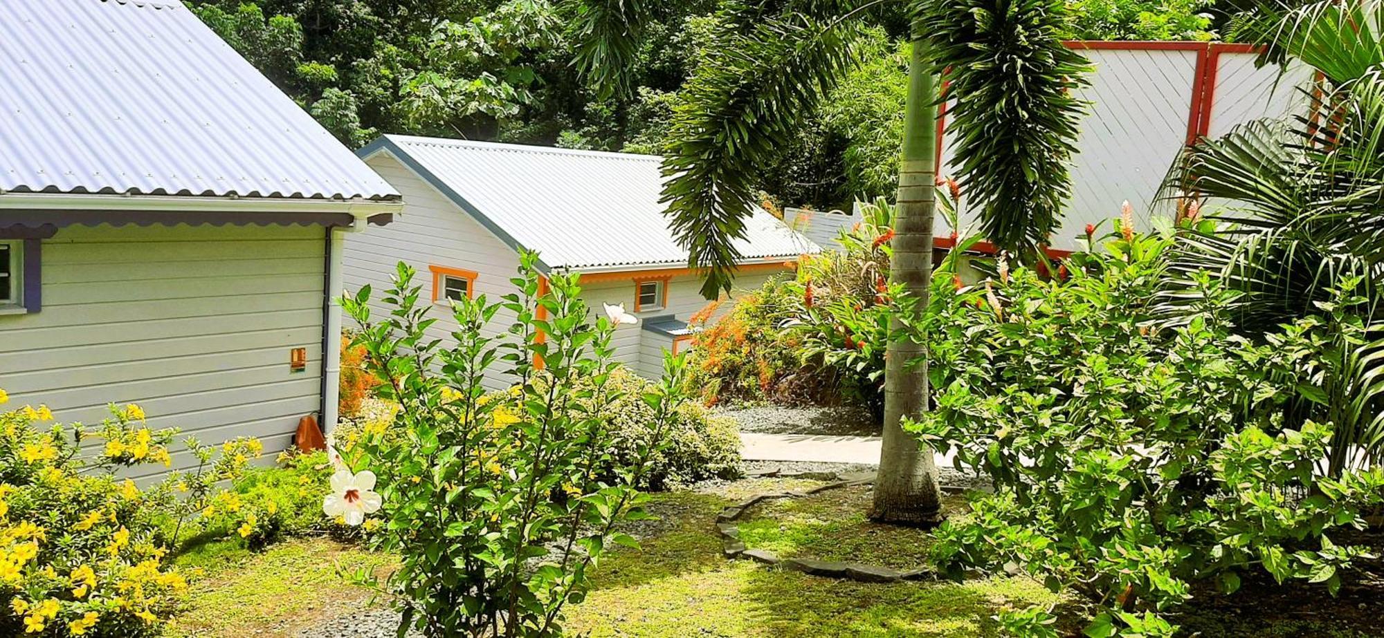Caraibes Cottages Corail Piscine Privee A 900M De La Plage De Grande Anse Deshaies Exterior photo
