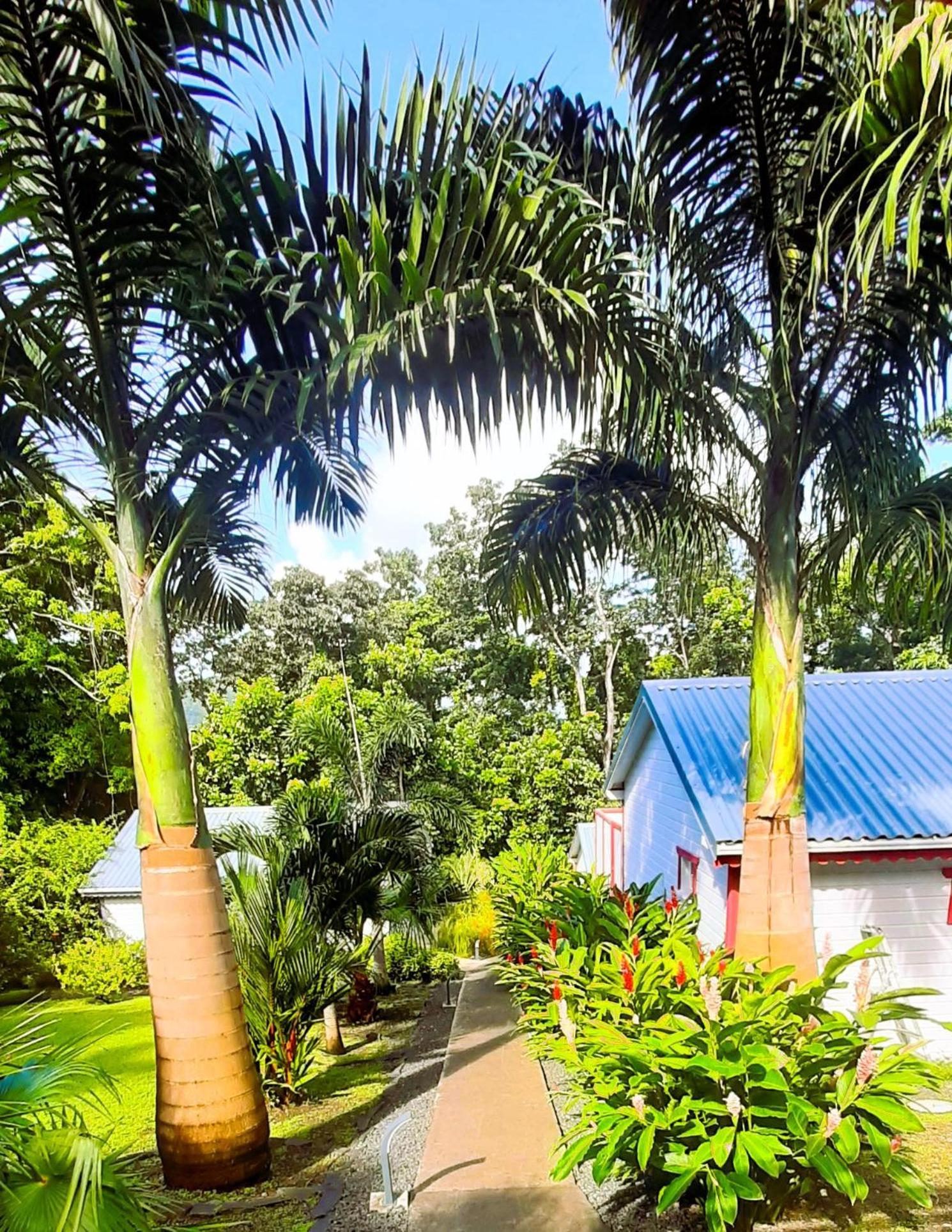 Caraibes Cottages Corail Piscine Privee A 900M De La Plage De Grande Anse Deshaies Exterior photo